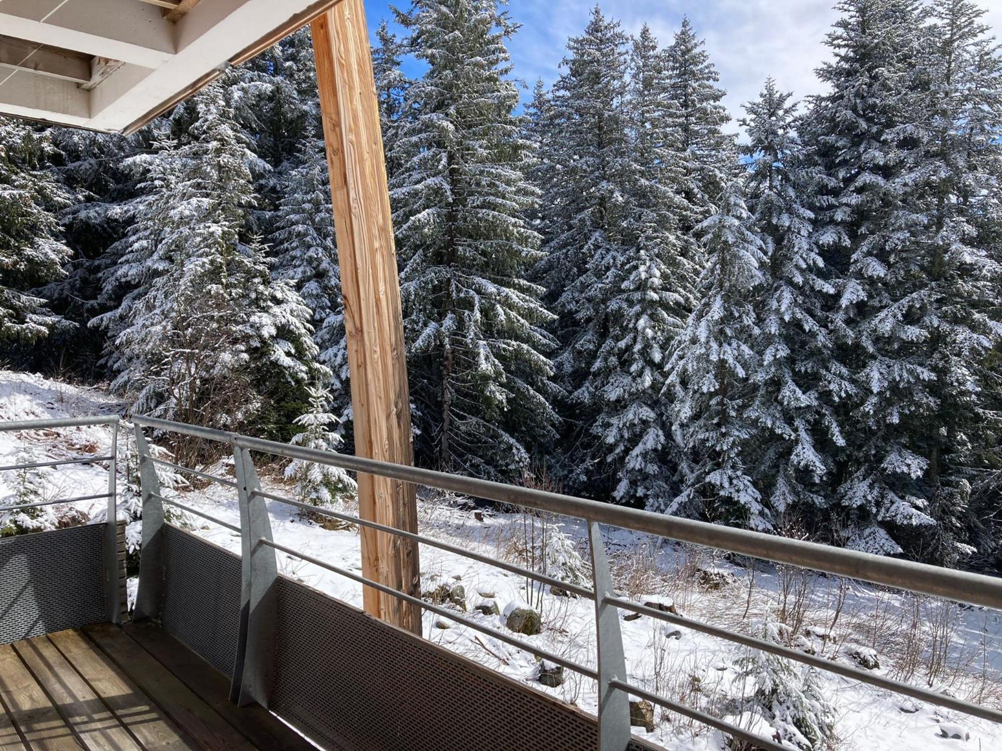 Studio Chamrousse 1700 Pour 4 Personnes - Au Calme - Avec Wifi Kültér fotó
